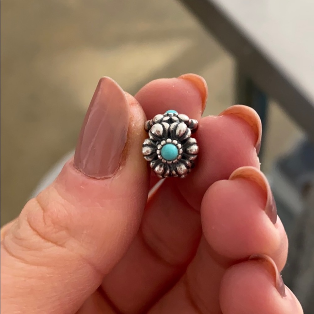Pandora charm